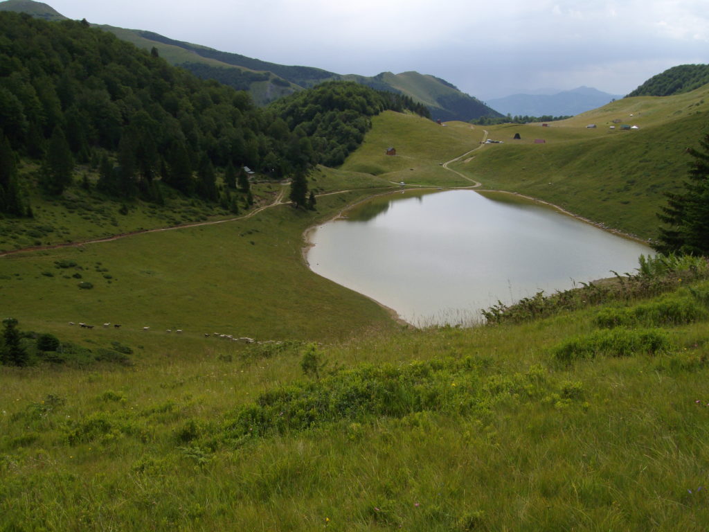 Sisko jezero