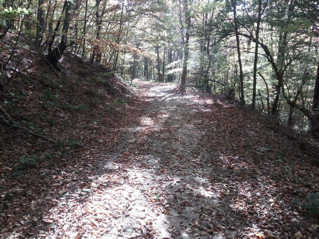 Enduro, Banat, Srbija, Rumunija, Bela Crkva, Oršava, Božovići