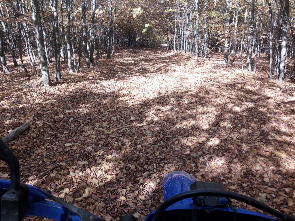 Enduro, Banat, Srbija, Rumunija, Bela Crkva, Oršava, Božovići