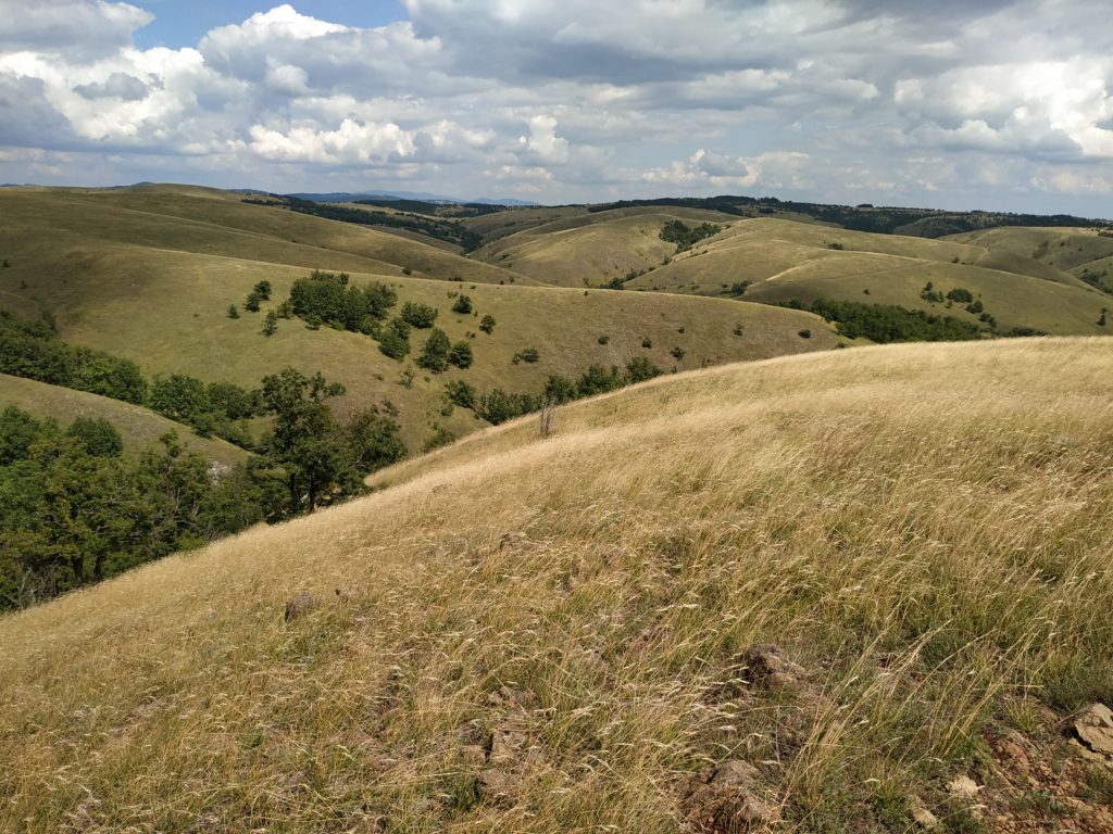 Divčibarska lepota